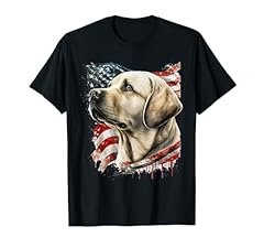 Yellow lab american for sale  Delivered anywhere in USA 