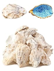 Letravagance 20pcs oyster for sale  Delivered anywhere in USA 
