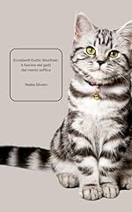 Eccellenti exotic shorthair usato  Spedito ovunque in Italia 