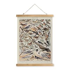 Midefinch vintage bird for sale  Delivered anywhere in USA 