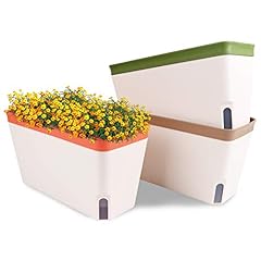 Ourwarm windowsill herb for sale  Delivered anywhere in USA 