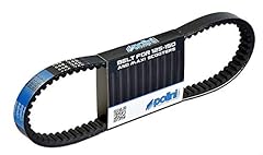 Polini drive belt for sale  Delivered anywhere in USA 