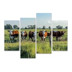 Six polled hereford for sale  Delivered anywhere in USA 