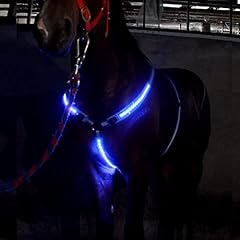 Ydia led horse for sale  Delivered anywhere in USA 