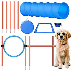 Xben agility set usato  Spedito ovunque in Italia 
