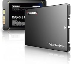 Fanxiang s101 256gb usato  Spedito ovunque in Italia 