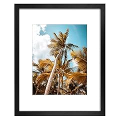 Frametory 16x20 black for sale  Delivered anywhere in USA 