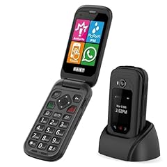 Saiet link pro usato  Spedito ovunque in Italia 