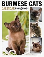 Burmese cats calendar for sale  Delivered anywhere in UK