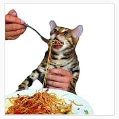 Funny gift spagheti for sale  Delivered anywhere in USA 