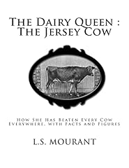 Dairy queen jersey for sale  Delivered anywhere in USA 