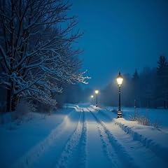 Vintage winter for sale  Delivered anywhere in USA 