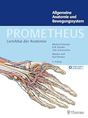 Prometheus allgemeine anatomie gebraucht kaufen  Wird an jeden Ort in Deutschland