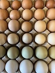 Free range chicken for sale  Delivered anywhere in UK