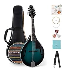 Mandolin instrument kit for sale  Delivered anywhere in USA 