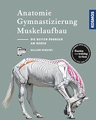 Anatomie gymnastizierung muske gebraucht kaufen  Wird an jeden Ort in Deutschland