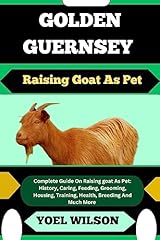 Golden guernsey raising for sale  Delivered anywhere in USA 