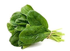 Vegetable plants spinach for sale  Delivered anywhere in UK