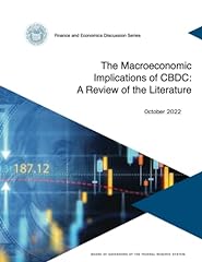 The macroeconomic implications usato  Spedito ovunque in Italia 