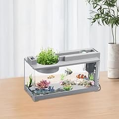Betta fish tank for sale  Delivered anywhere in UK
