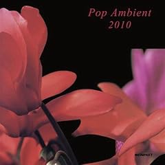 Pop ambient 2010 usato  Spedito ovunque in Italia 