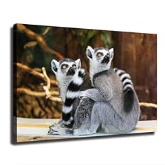 Pair lemurs madagascar for sale  Delivered anywhere in USA 