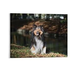 Generic dog sheltie for sale  Delivered anywhere in USA 