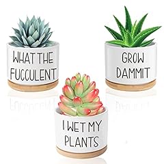 Funny succulent pots for sale  Delivered anywhere in USA 