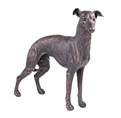 Large greyhound dog for sale  Delivered anywhere in UK