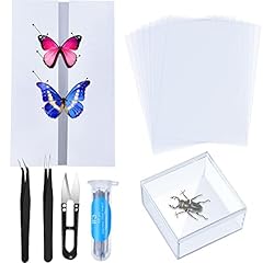 Pieces insect specimen for sale  Delivered anywhere in UK