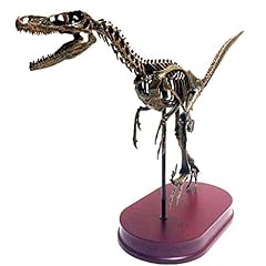 Yotat skeleton model for sale  Delivered anywhere in UK