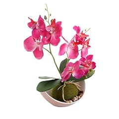 Aisamco fleurs orchidées d'occasion  Livré partout en France