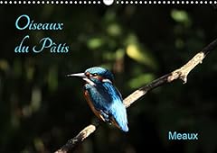 Oiseaux pâtis d'occasion  Livré partout en France