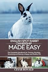 English spot rabbit for sale  Delivered anywhere in UK