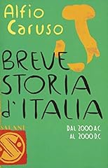 Breve storia italia usato  Spedito ovunque in Italia 