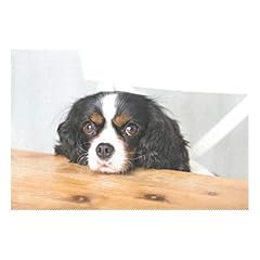 Alaza cavalier king d'occasion  Livré partout en Belgiqu