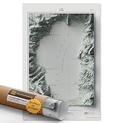 Restoration cartographic wall for sale  Delivered anywhere in USA 