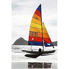 Greatbigcanvas hobie cats for sale  Delivered anywhere in USA 