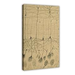 Santiago ramón cajal for sale  Delivered anywhere in USA 