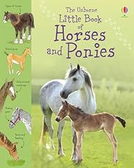 Little book horses for sale  Delivered anywhere in UK
