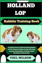 Holland lop rabbits for sale  Delivered anywhere in USA 