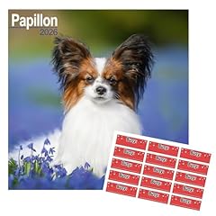 Papillon calendar 2026 for sale  Delivered anywhere in UK