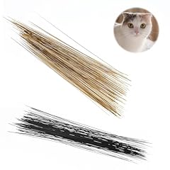 300pcs simulated cat for sale  Delivered anywhere in USA 