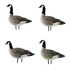 Avian axp lessers for sale  Delivered anywhere in USA 