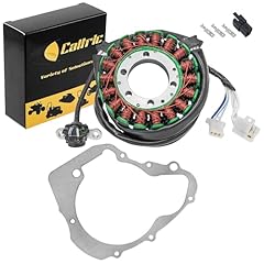 Caltric stator gasket for sale  Delivered anywhere in USA 
