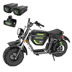 Greenworks 80v battery for sale  Delivered anywhere in USA 