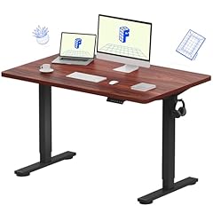 Flexispot en1 whole for sale  Delivered anywhere in USA 