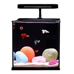 Qanvee betta nemo for sale  Delivered anywhere in USA 