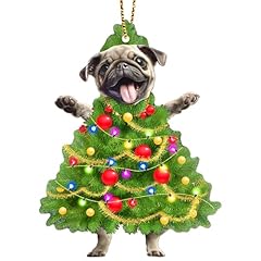 34hd pug dog for sale  Delivered anywhere in USA 