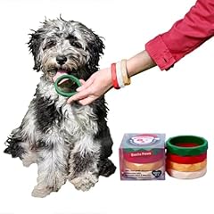 Sweet paws puppy for sale  Delivered anywhere in USA 